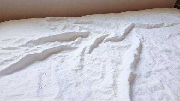 5 signes qui indiquent l'absence de punaises de lit