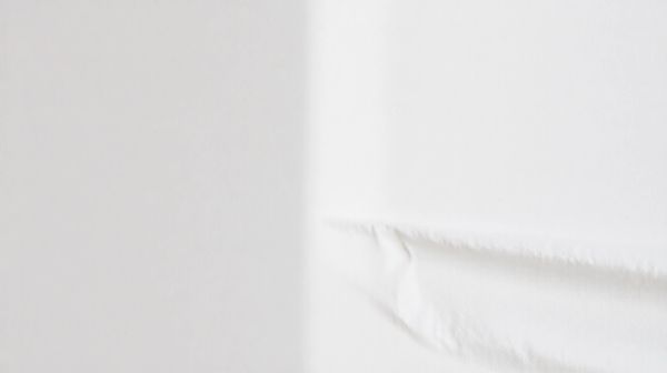 5 signes qui indiquent l'absence de punaises de lit