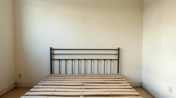 Comment confirmer que les punaises de lit ne sont plus là ?